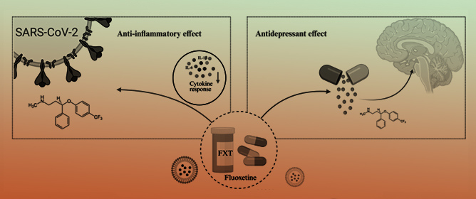 Fluoxetine Reshapes Macrophage Membrane Sphingolipids and Inflammatory Response Without Affecting Extracellular Vesicle Biogenesis upon Inactivated SARS-CoV-2 Stimulation