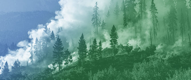 Mapping the Boundaries of Community Land in Mainland Portugal to Support Governance and Wildfire Hazard Assessment