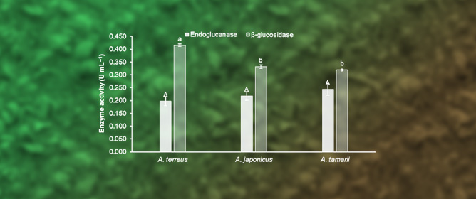 Sequential Fermentation of Coffee Husks by <em>Aspergillus japonicus</em> URM5620 for Cellulases Production: Biochemical Characterization and Kinetic/Thermodynamic Study