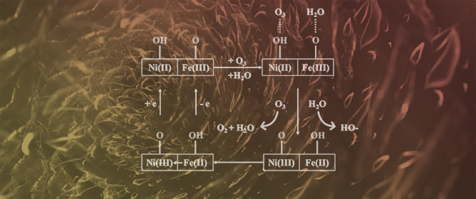 Bimetallic Charge Regulation in NiFe Layered Double Hydroxides Accelerates Surface Hydrogen Atom Cycling for Enhanced Catalytic Ozone Decomposition