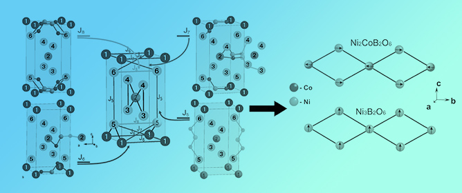 Simulating Magnetic Ordering and Exchange Interactions in Ni<sub>2</sub>Co(BO<sub>3</sub>)<sub>2</sub>