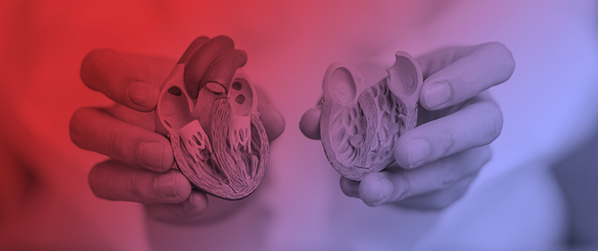 Predicting Cancer Therapy-Related Cardiac Dysfunction