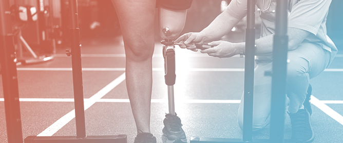 Neuromuscular Control of Overground Walking in Transtibial Amputees: Endoskeletal vs. Exoskeletal Prostheses