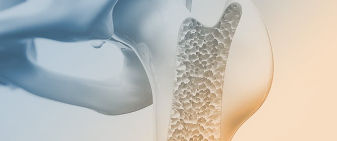 Transformation of the Biological Paradigm in Bone Regeneration: An Integrative Review