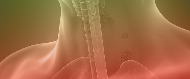 Optimized Large-Scale Longitudinal Biorepository of Gastroesophageal Adenocarcinoma Patient-Derived Organoids: High-Fidelity Models for Personalized Treatment to Overcome Resistance