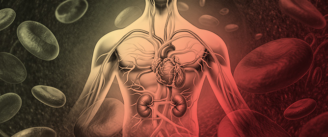 Prevalence of Cardiovascular-Kidney-Metabolic Syndrome
