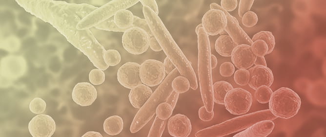 Evaluating the Antibiotic Resistance Patterns in <em>Mycoplasma hominis</em> and <em>Ureaplasma</em> spp. Infections in Salvador, Brazil