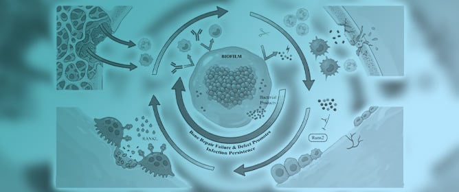 Journal of Functional Biomaterials | An Open Access Journal from MDPI