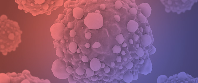 A Sensitized 3D Spheroid Model for Anti-Cancer Drug Discovery