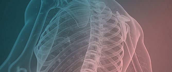 Regenerative Medicine Strategies for Spinal Cord Injury: Advances in Stem Cell Therapy