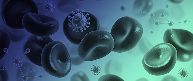 Sex-Based Red Blood Cells Metabolic Changes in COVID-19