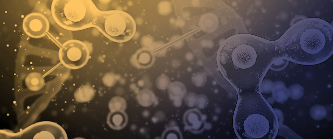 Networks of Intercellular Nanotubes
