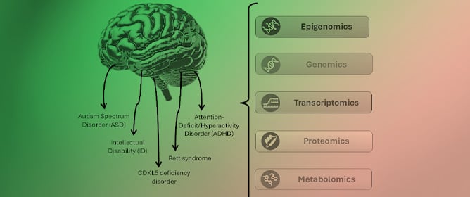 Statistical Methods for Multi-Omics Analysis in Neurodevelopmental Disorders