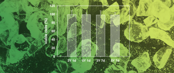 Meso-Scale Modifications in Additively Manufactured Zirconia: Topographical Design and Its Influence on Cell&ndash;Material Interactions