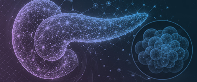 Mathematical and Numerical Analysis of a Fractional Diabetes Model with Singular Operator