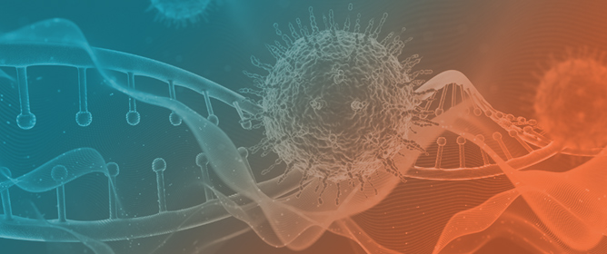 Comprehensive Genomic Profiling for Precision Oncology: Analytical Validation and Clinical Utility in Solid Tumors