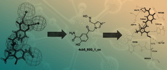 In Silico Identification of Hit Compound to Counteract A-Series Nerve Agents Poisoning