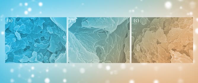 Enhanced Selective Adsorption of Rare Earth Ions with Ion-Imprinted Poly(hydroxamic acid) Interpenetrating Polymer Networks: Fabrication, Performance, and Mechanisms