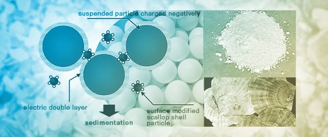 Surface-Modified Waste Scallop Shell as a Flocculant and an Optical Method for Evaluating Flocculation Performance
