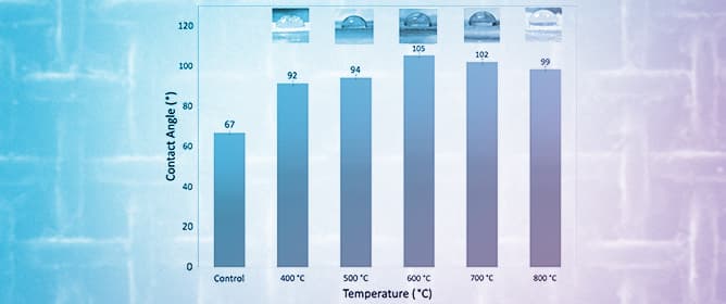 Effect of Sintering Temperature on Phase Evolution and Oil-Repellent Performance of TiO<sub>2</sub>&ndash;Carbon-Coated Stainless-Steel Mesh