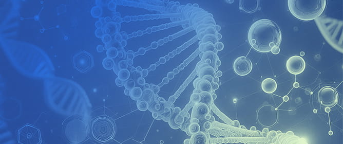Multi-Relational Knowledge Graph for Drug Repurposing and Side-Effect Burden Prediction Using Gene&ndash;Drug&ndash;Disease Associations