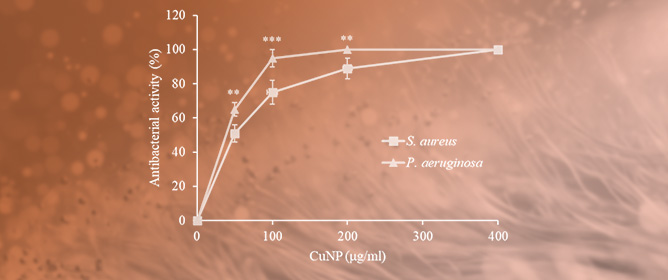 Development and Evaluation of Antimicrobial Hospital Apparel Incorporating Copper Nanoparticles: Upscaling, Durability, and Hospital Assessment