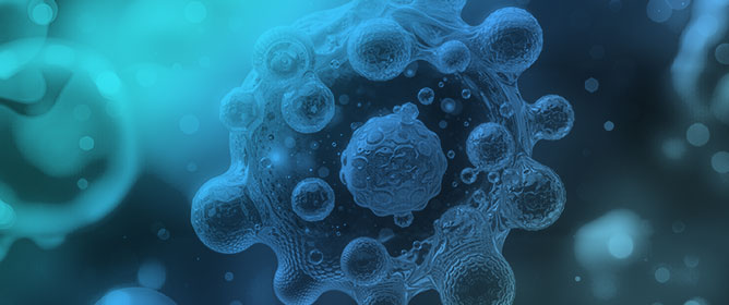 Prognostic Scores and Risk Stratification of Myeloproliferative Neoplasms: 2026 Updates