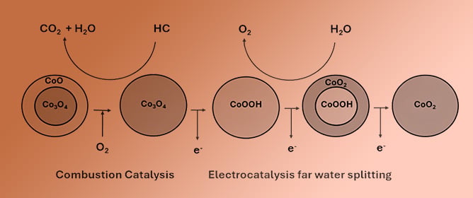 Cobalt Oxides and Co-Al Mixed Oxides as Thermo-, Photo- and Electrocatalytic Materials: Properties and Perspectives of Industrial Applications