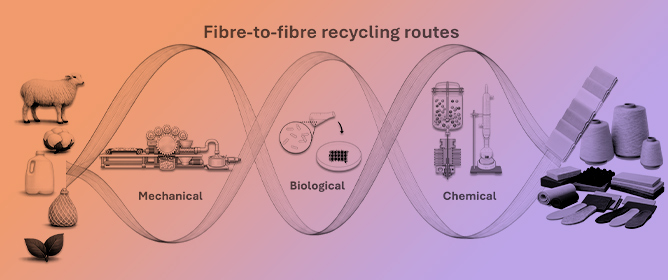 Fibre-to-Fibre Recycling in Textiles: Strategies, Limitations and Industrial Perspectives