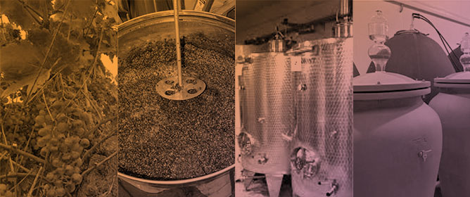 Characterization of Microbial Population of Organic Grapes, Must and Natural Wine During Spontaneous Vinification of Limniona Red Grape Variety