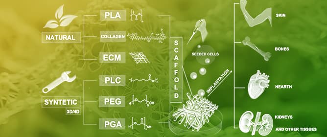 Advances in Biomaterials for Tissue Regeneration: From Scaffold Design to CAP-Enabled Interfaces and AI-Driven Optimization