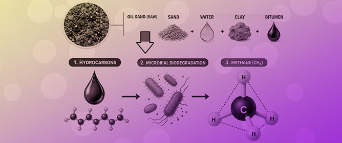 Hydrocarbon-Resolved Methane Prediction