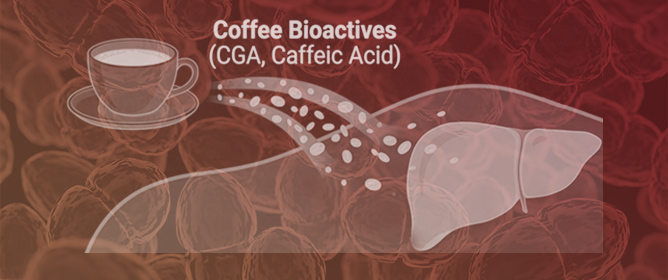 Brewing Epigenetic Defense: Mechanisms of Coffee Bioactives in the Chemoprevention of Hepatocellular Carcinoma
