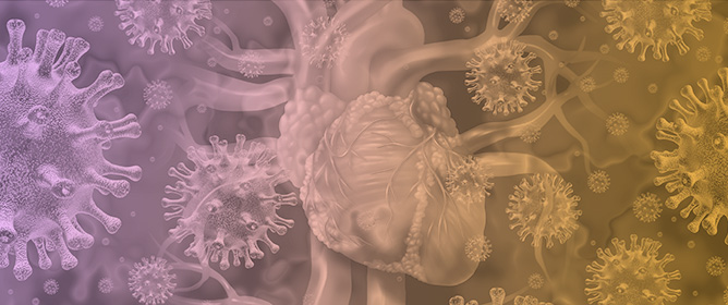 Clinical Features and Outcomes of Lyme Disease
