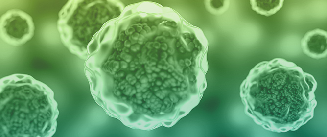 Mitochondrial Trafficking Drives Cancer Progression and Plasticity