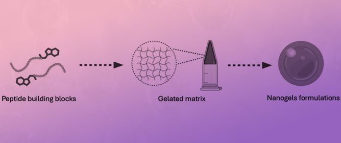 Peptide-Based Nanogels for Pharmaceutical and Biotechnological Applications: From Fmoc-FF to Other Peptide Sequences