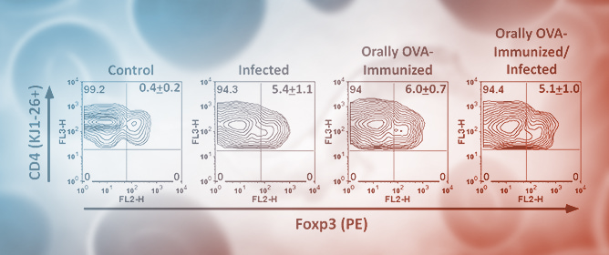 DO11.10 CD4 T Cell Cross-Reacts with <em>Trypanosoma cruzi</em> Antigens