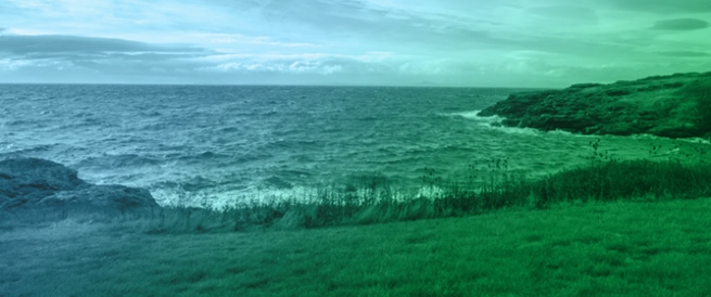 Historical Loss of Native Old-Growth Grasslands on the San Juan Islands, Washington