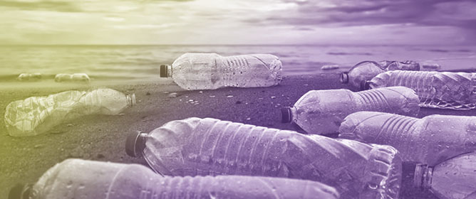 Biodegradation of Petrochemical Plastics by Microorganisms: Toward Sustainable Solutions for Plastic Pollution