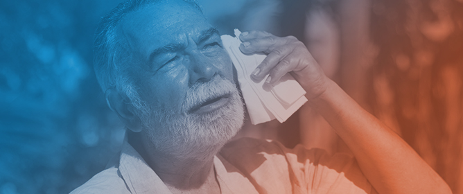 Vulnerability to Heat Effects and Regional Inequalities Among Older Adults in the State of S&atilde;o Paulo, Brazil