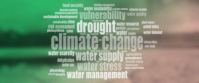 Water Scarcity and Slow-Onset Ecological Disasters: A Global Bibliometric Review