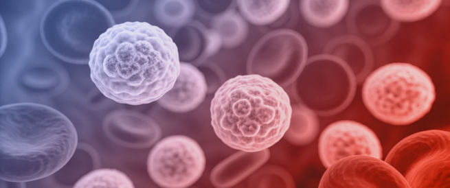 Comprehensive lincRNA Transcriptome in Acute Myeloid Leukemia: Integrating Known and Newly Identified lincRNAs Across Pediatric and Adult Cohorts
