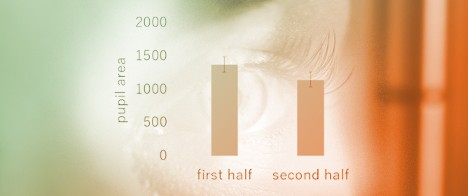 Cognitive Stress Responses During an N-Back Task: Pupillary Dynamics and Salivary Alpha-Amylase Activity