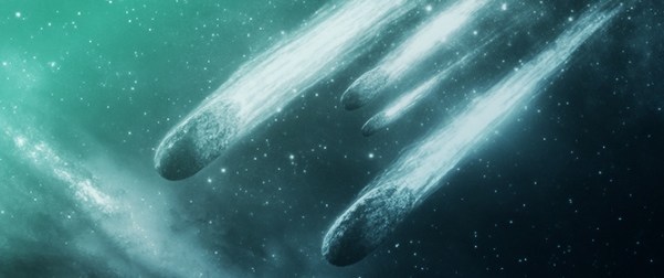 The Origin of Sodium in Comets
