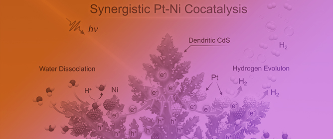 Synergistic Pt-Ni Cocatalysis on Dendritic CdS Boosts Photocatalytic H<sub>2</sub> Evolution by Promoting Charge Separation and Water Dissociation