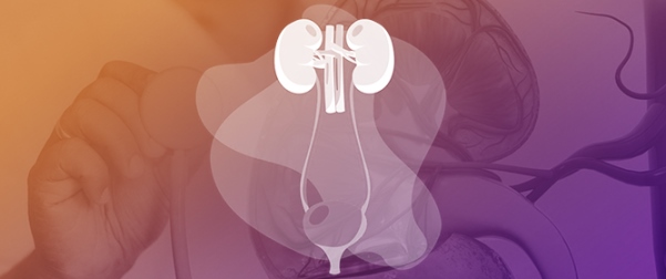 Urinary Tract Infections in Portugal: A Decade of Evidence on Uropathogens and Antimicrobial Resistance&mdash;A Systematic Review