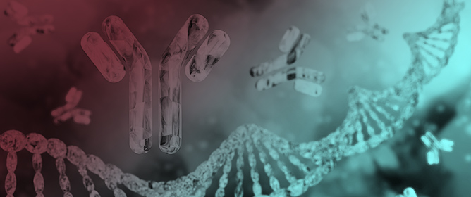Intrinsic and Extrinsic Factors for Natural Killer Cells and Their Involvement in Behcet Disease