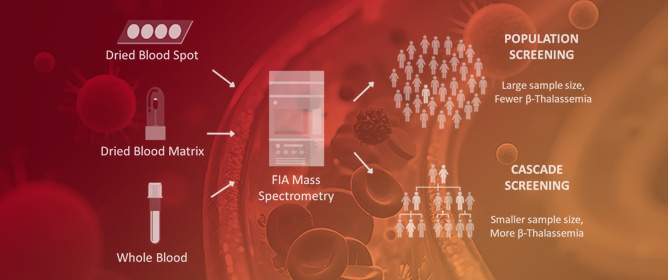 Cascade Screening of &beta; Thalassemia by FIA-TQMS