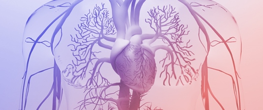 Exploring the Genetic Architecture of Myocarditis and Inherited Cardiomyopathies