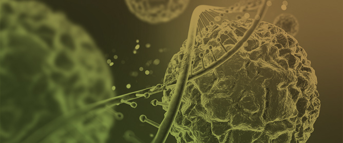 Metabolic Syndrome Is Associated with Increased Plasma Fibroblast Growth Factor 21 (FGF21) in Postmenopausal Breast Cancer Survivors: Implications for Therapy and Diagnosis